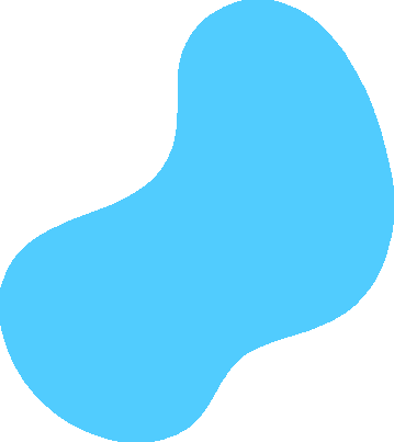 Shape